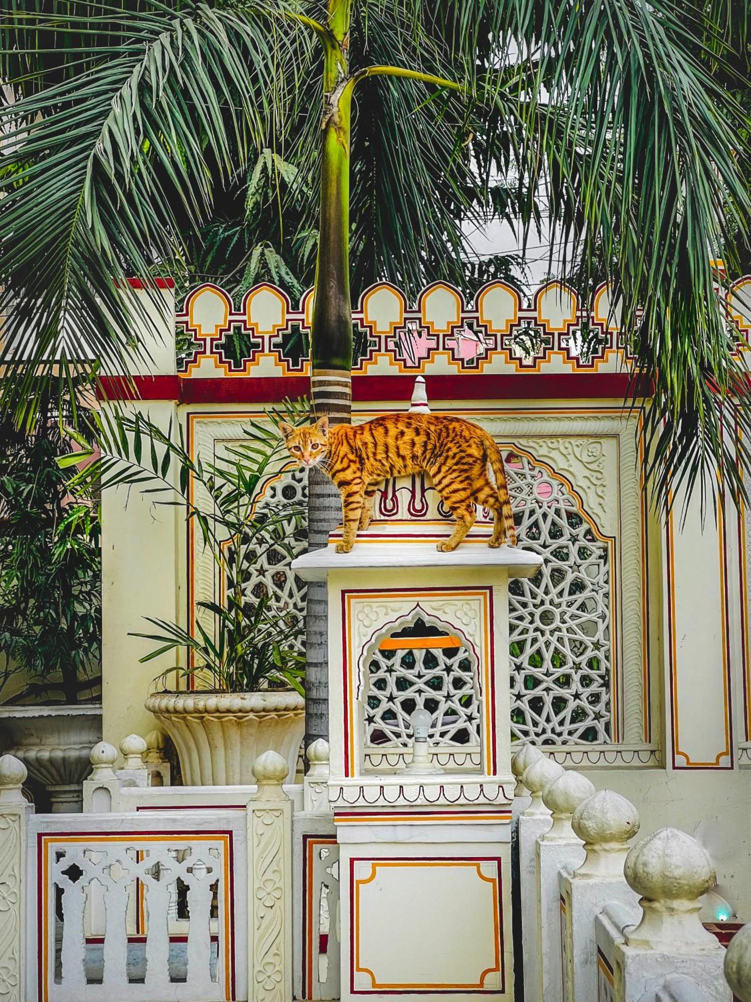 Krishna Palace - A Heritage Hotel Jaipur Exterior photo